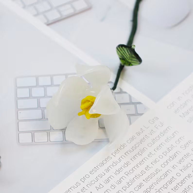 il_794xN.7116471271_573d